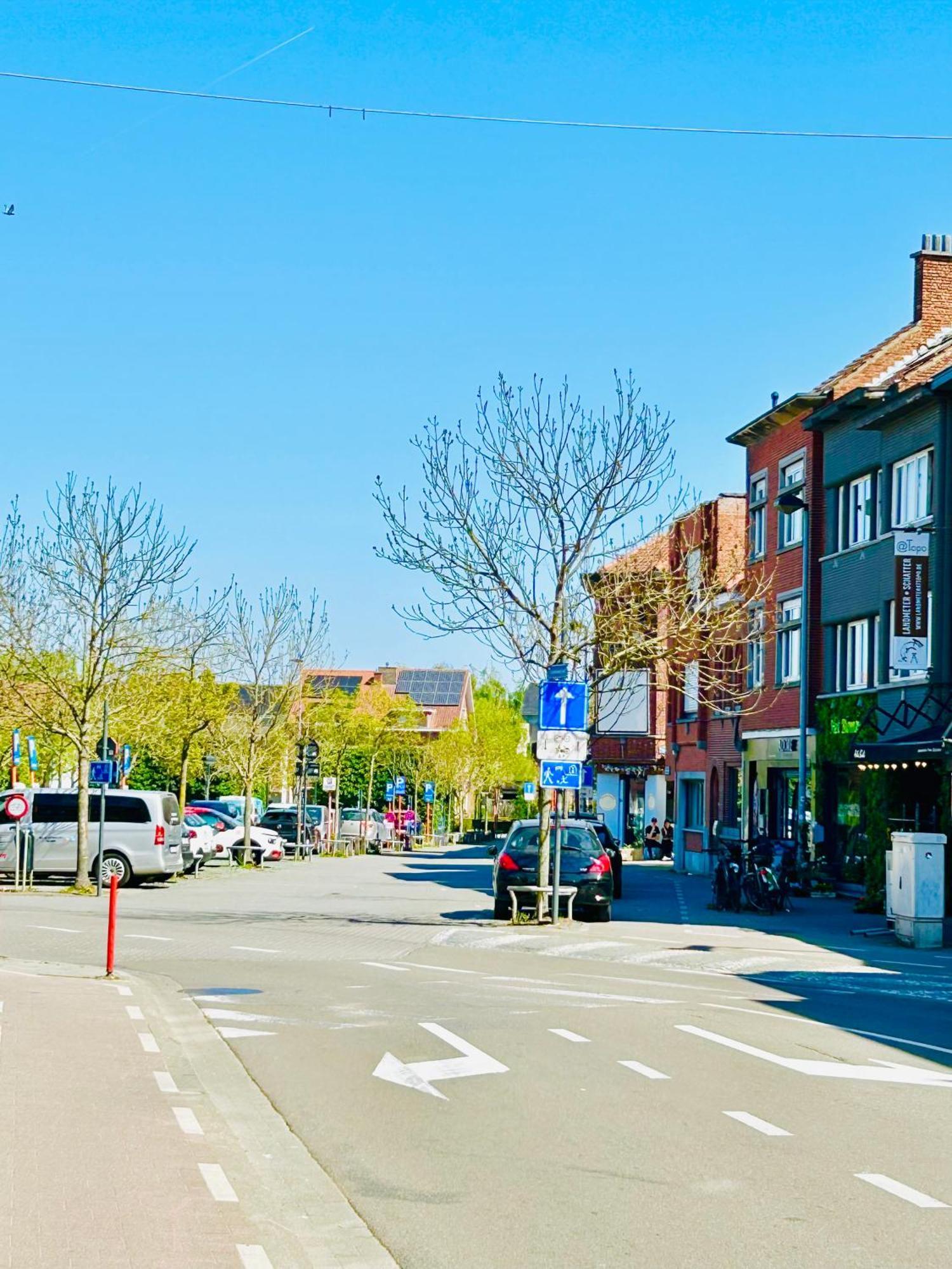 Homestay Cosy In -near Brussels , Mechelen Leuven